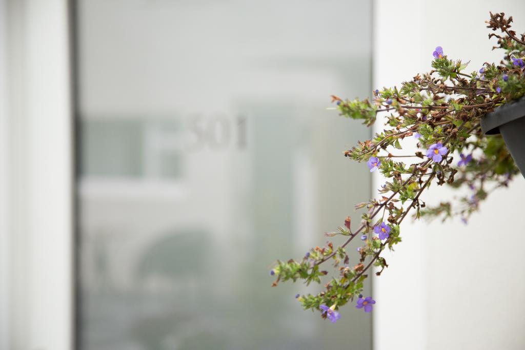 Kerno Apartments เรคยาวิก ภายนอก รูปภาพ